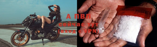 молекула духа Белоозёрский