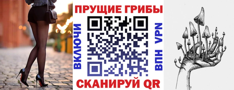 Галлюциногенные грибы Psilocybine cubensis  Верхняя Тура 
